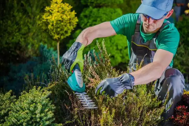 landscaping services Kings Mills